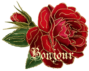 Gif animé bonjour